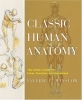 Classic Human Anatomy: The Artist's Guide to Form, Function, and Movement