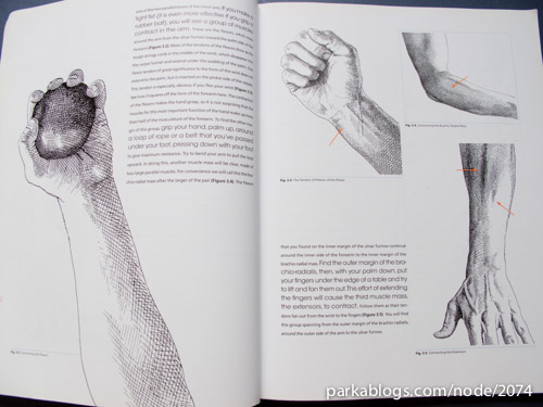 Anatomy for Artists: A New Approach to Discovering, Learning and Remembering the Body - 01