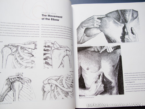 Anatomy for Artists: A New Approach to Discovering, Learning and Remembering the Body - 03