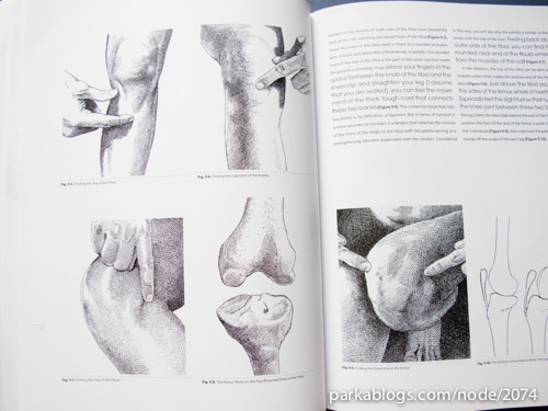 Anatomy for Artists: A New Approach to Discovering, Learning and Remembering the Body - 05