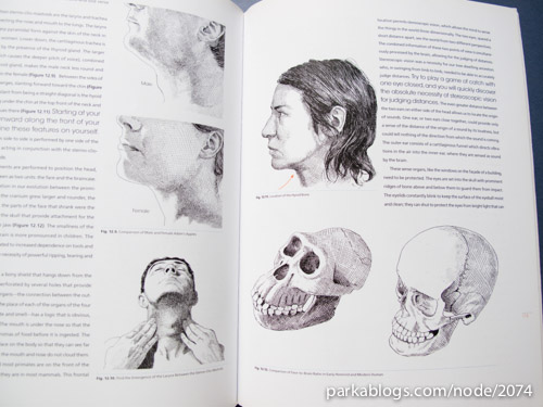 Anatomy for Artists: A New Approach to Discovering, Learning and Remembering the Body - 07
