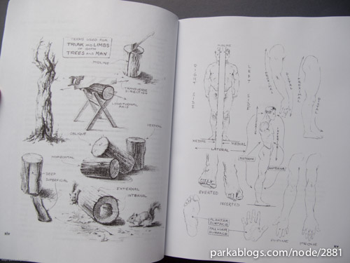 Atlas of Human Anatomy for the Artist - 01