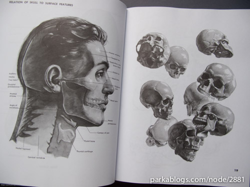 Atlas of Human Anatomy for the Artist - 03