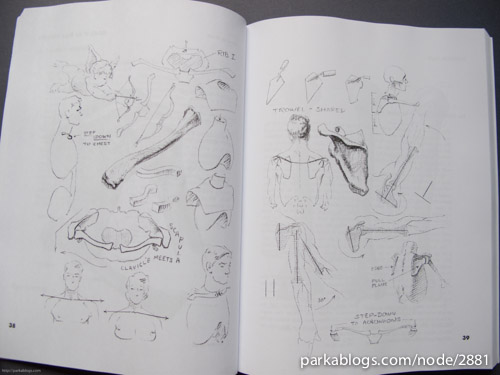 Atlas of Human Anatomy for the Artist - 05