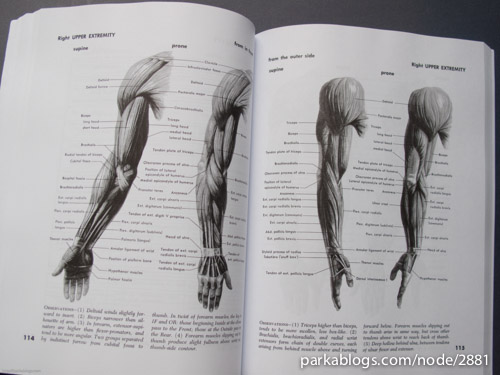 Atlas of Human Anatomy for the Artist - 06