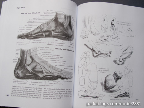 Atlas of Human Anatomy for the Artist - 08