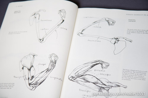 Anatomy: A Complete Guide for Artists - 03