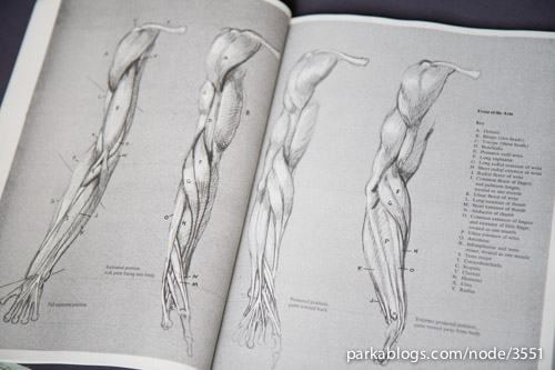 Anatomy: A Complete Guide for Artists - 05