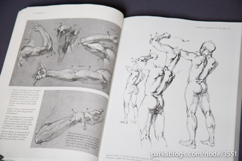 Anatomy: A Complete Guide for Artists - 06