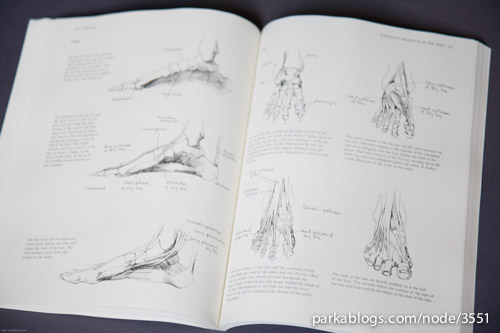 Anatomy: A Complete Guide for Artists - 08