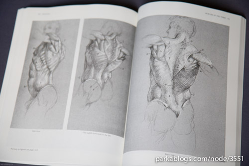 Anatomy: A Complete Guide for Artists - 09