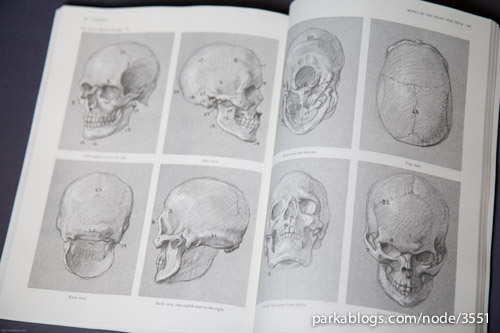 Anatomy: A Complete Guide for Artists - 10