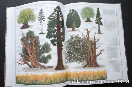 The Book of Trees - 12
