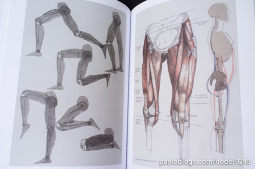 Complete Guide to Life Drawing by Gottfried Bammes - 07