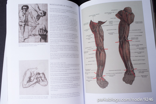 Complete Guide to Life Drawing by Gottfried Bammes - 12