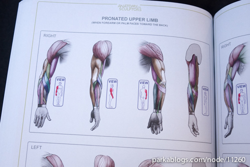 Anatomy for Sculptors: Understanding the Human Figure - 11