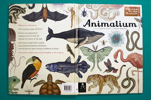 Animalium by Katie Scott & Jenny Broom