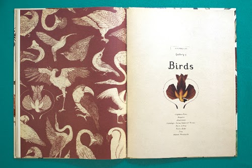 Animalium by Katie Scott & Jenny Broom