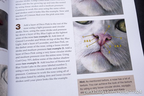 CP Cats: A Complete Guide to Drawing Cats in Colored Pencil - 05