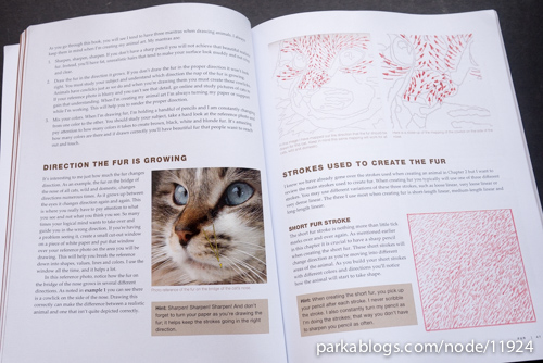 CP Cats: A Complete Guide to Drawing Cats in Colored Pencil - 07