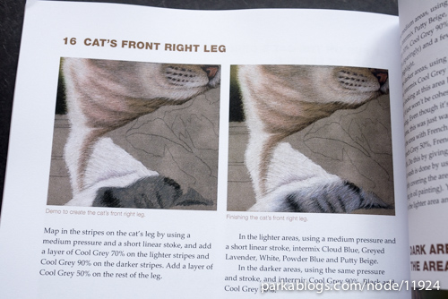 CP Cats: A Complete Guide to Drawing Cats in Colored Pencil - 09