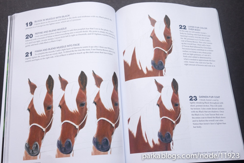 CP Horses: A Complete Guide to Drawing Horses in Colored Pencil - 09