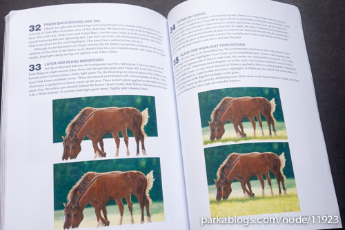 CP Horses: A Complete Guide to Drawing Horses in Colored Pencil - 12