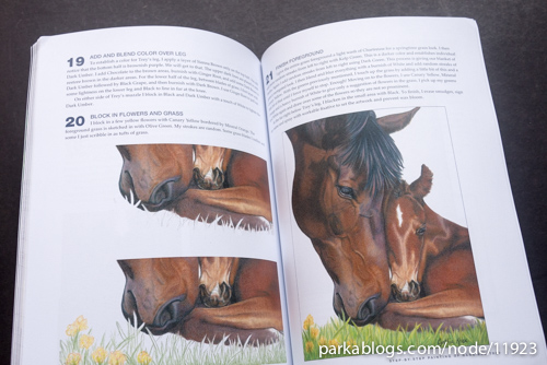 CP Horses: A Complete Guide to Drawing Horses in Colored Pencil - 13