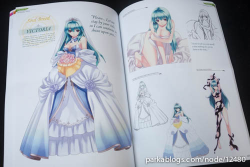 Record of Agarest War 2: Heroines Visual Book - 11