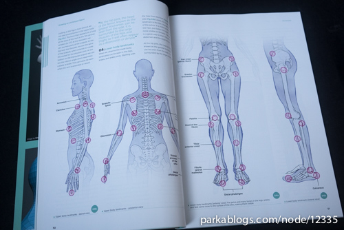 Anatomy for 3D Artists: The Essential Guide for CG Professionals - 05