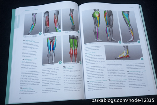 Anatomy for 3D Artists: The Essential Guide for CG Professionals - 08