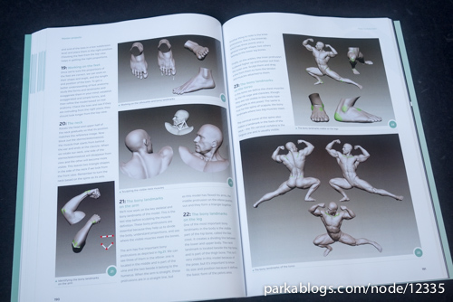 Anatomy for 3D Artists: The Essential Guide for CG Professionals - 10