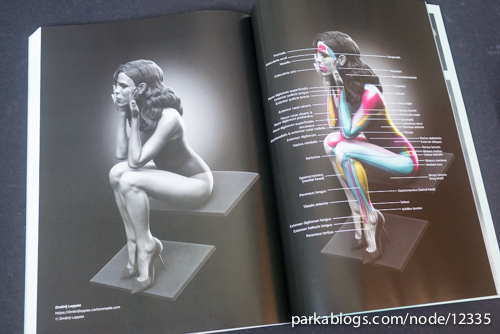 Anatomy for 3D Artists: The Essential Guide for CG Professionals - 13