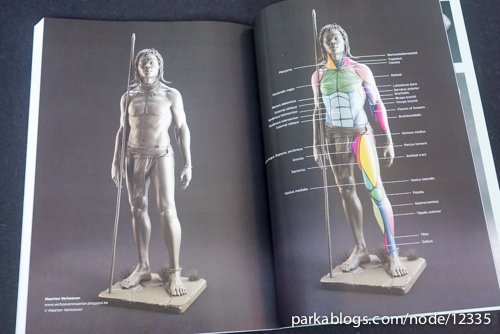 Anatomy for 3D Artists: The Essential Guide for CG Professionals - 15