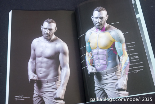 Anatomy for 3D Artists: The Essential Guide for CG Professionals - 16