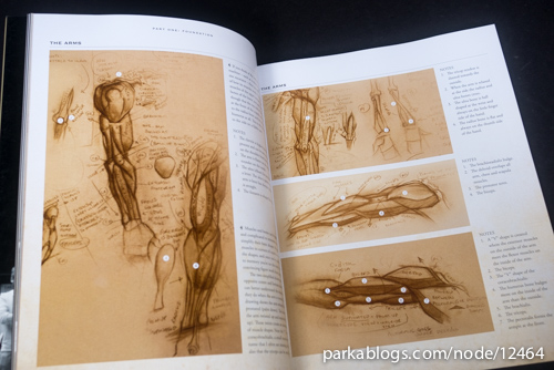 The Anatomy of Style: Figure Drawing Techniques - 03