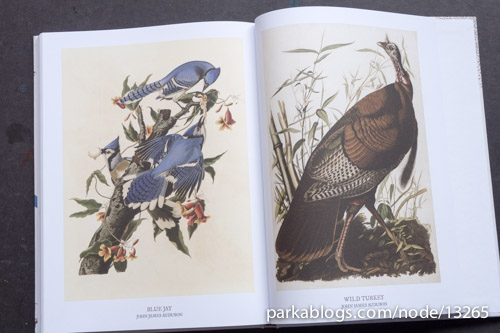 Audubon, On The Wings Of The World by Fabien Grolleau and Jérémie Royer - 16