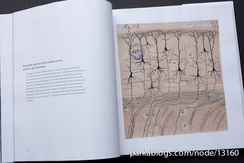 Beautiful Brain: The Drawings of Santiago Ramon y Cajal - 04