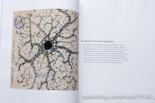 Beautiful Brain: The Drawings of Santiago Ramon y Cajal - 07