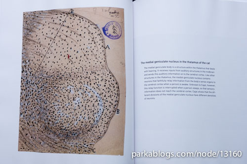 Beautiful Brain: The Drawings of Santiago Ramon y Cajal - 09