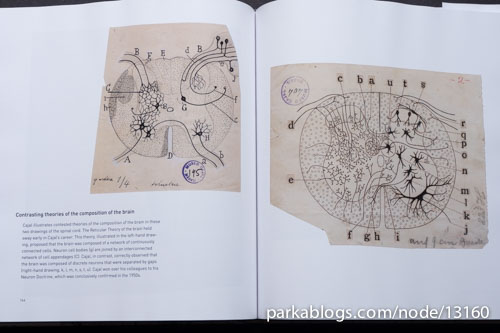 Beautiful Brain: The Drawings of Santiago Ramon y Cajal - 10