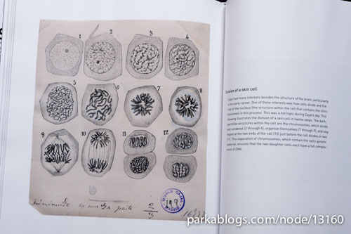 Beautiful Brain: The Drawings of Santiago Ramon y Cajal - 11