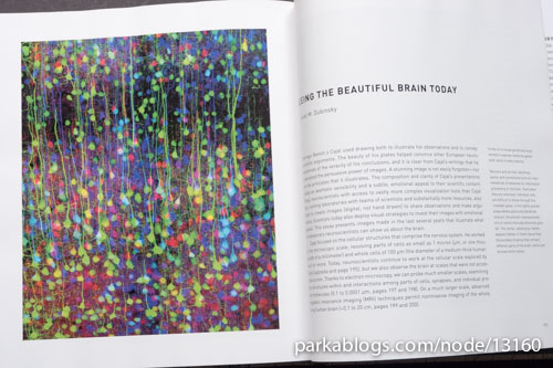 Beautiful Brain: The Drawings of Santiago Ramon y Cajal - 12