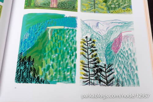 David Hockney: Current - 06