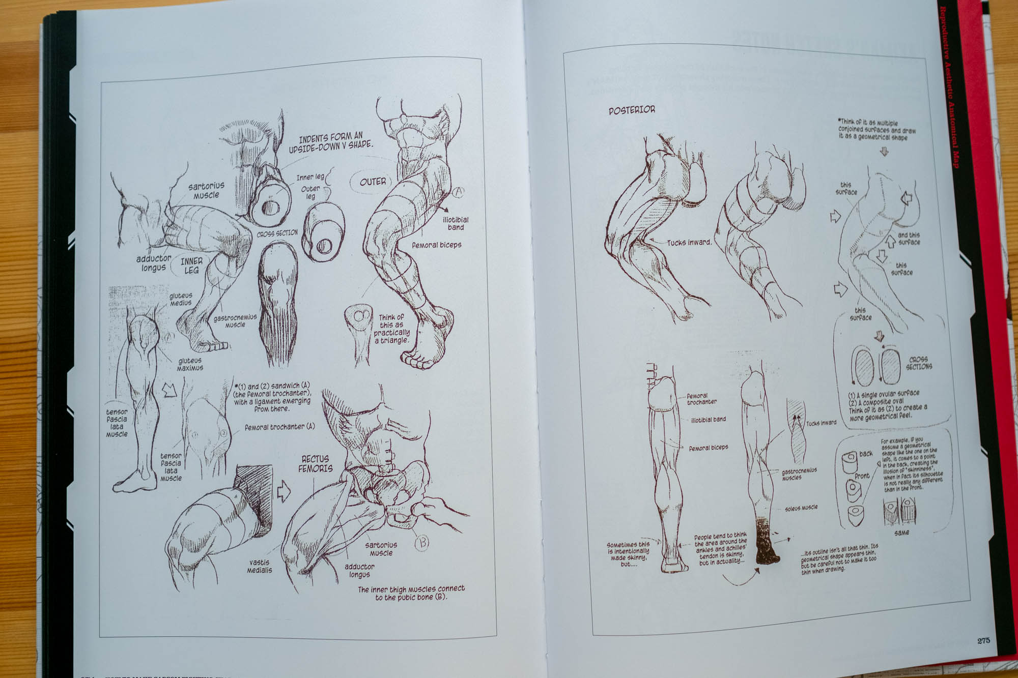 How To Make Capcom Fighting Characters: Street Fighter Character Design - 16