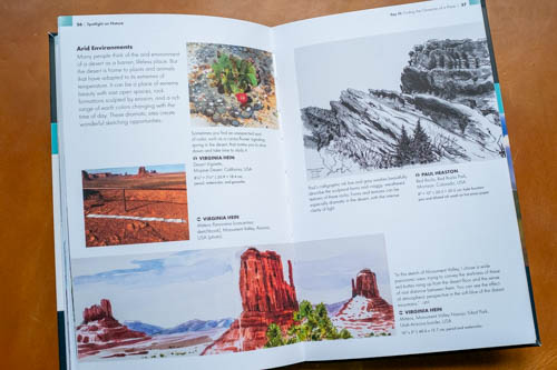 Spotlight on Nature: Tips and Techniques for Drawing and Painting Nature on Location (Urban Sketching Handbook) - 11