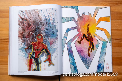 The Marvel Art of David Mack - 12