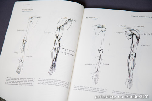 Book Review Anatomy A Complete Guide For Artists Parka
