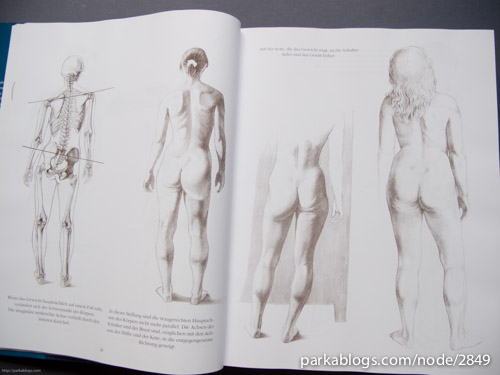Anatomy Drawing School: Human, Animal, Comparative Anatomy - 02
