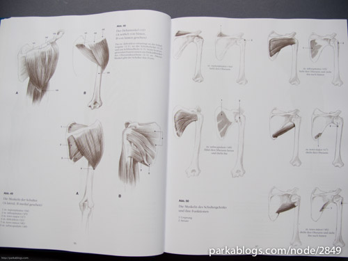 Book Review: Anatomy Drawing School: Human, Animal, Comparative Anatomy